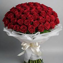 Букет 101 Красная роза Блэк Мэджик в Пошехонье