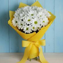 Букет цветов из:  Хризантемы в Пошехонье