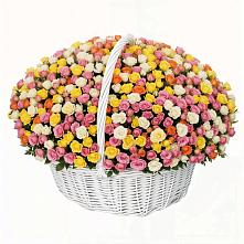 Премиум букет из: Розы в Пошехонье