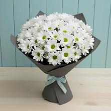 Букет цветов из:  Хризантемы в Пошехонье