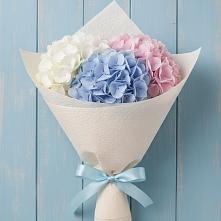 Букет цветов из:  Гортензия в Пошехонье