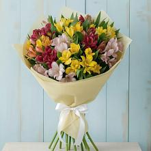 Букет цветов из:  Альстромерии в Пошехонье