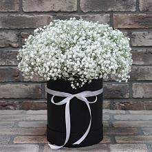 Цветочная композиция из Гипсофила в шляпной коробке в Пошехонье