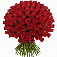 Букет Красные розы Чери Лав в Пошехонье