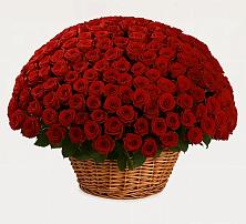 Премиум букет из: Розы в Пошехонье